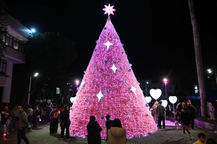 縣府廣場設置象徵愛與溫暖的粉紅色聖誕樹。　圖：台東縣政府／提供 