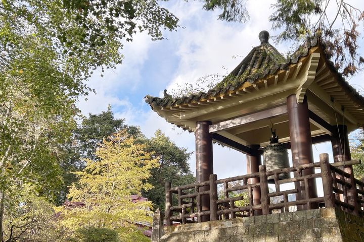 ▲歲末年終，阿里山慈雲寺銀杏與一旁的鐘樓、青楓，是很遊客喜愛拍照的景點。　圖：阿里山賓館／提供