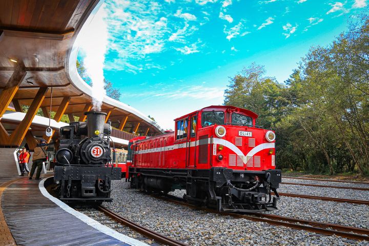 2026元旦到金質獎特優全台最高鐵道祝山車站欣賞紅楓、祝山觀日平台聆聽「日出印象音樂會」。　圖：阿里山賓館／提供