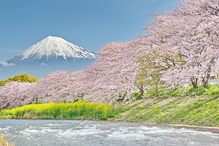 寒假春節出遊，謹慎選擇合法旅行社出遊不掃興。　圖：shutterstock／來源
