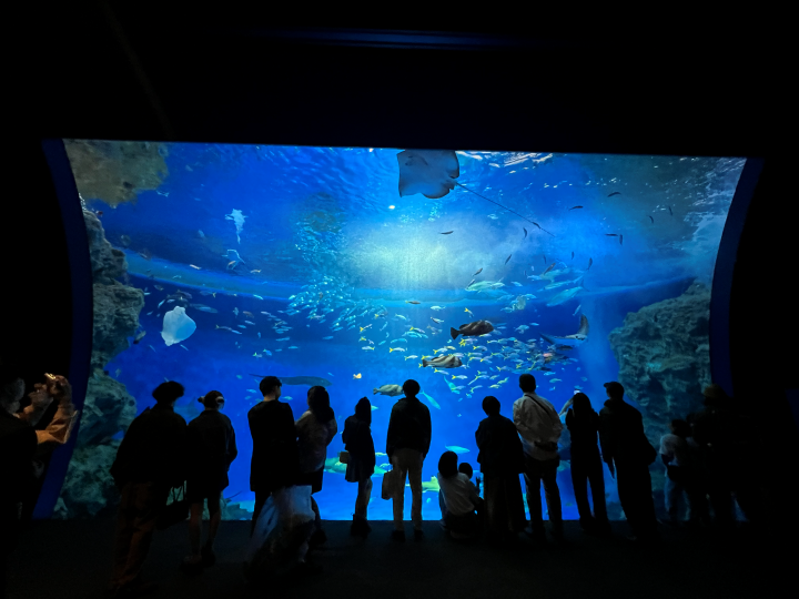 ▲「AQUA LIVE」670噸大型水槽。　圖：向日遊／提供