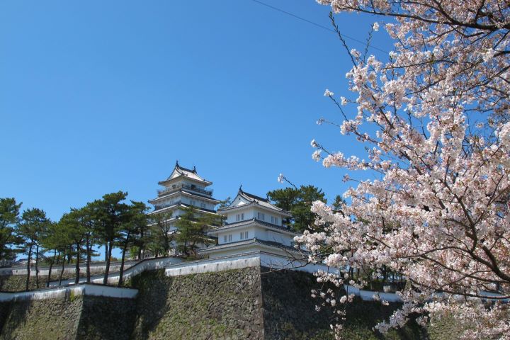 ▲島原城為賞櫻名所。　圖：長崎縣觀光聯盟／提供