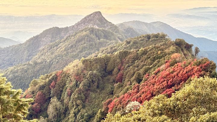 ▲楓紅與晚霞。（吳耀琪／攝）　圖：林業保育署台中分署／提供