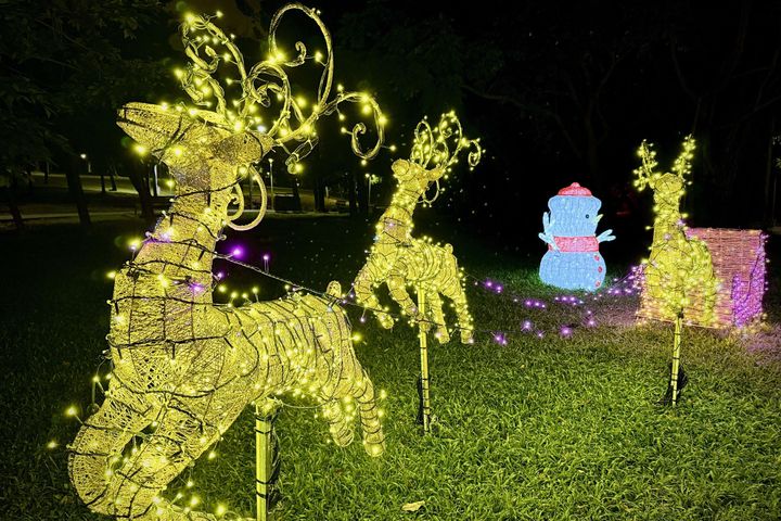▲大安森林公園聖誕奇境燈區。　圖：臺北市政府觀光傳播局／來源