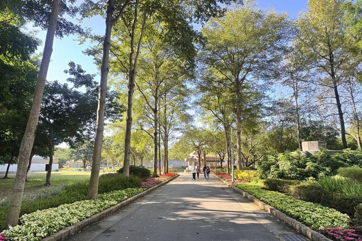 ▲大安森林公園建國花市對面公園，2號出入口換上三色聖誕紅。　圖：臺北市政府工務局／提供