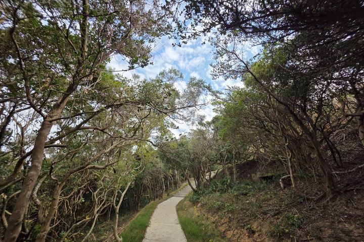 四維生態園區柃間小徑。　圖：馬祖國家風景區管理處／提供 