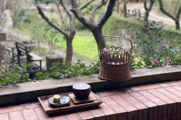 ▲「華陶窯梅花季」期間，規劃花期限定「賞梅品茶趣」行程。　圖：苗栗華陶窯／提供