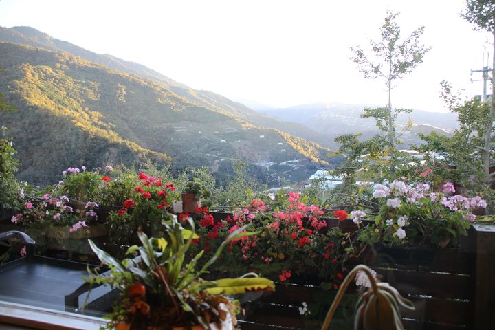 ▲像是深山花境的山谷。　圖：台中市政府觀光旅遊局 ／提供