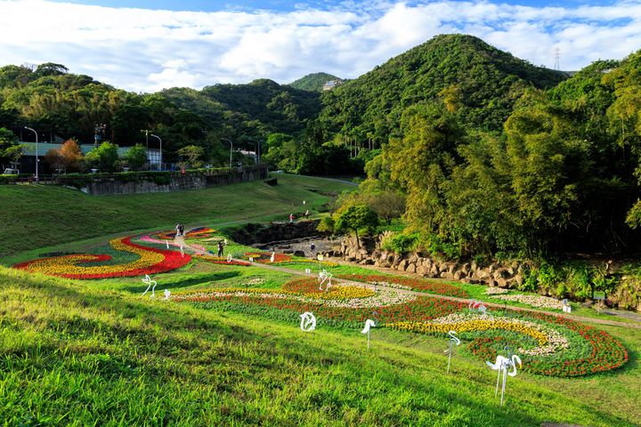 ▲大溝溪花海以水文意象為概念創作。　圖：台北市政府工務局／提供