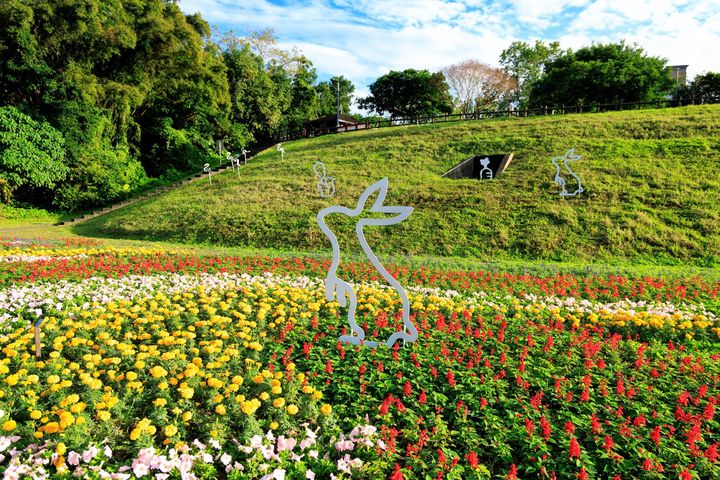 ▲大溝溪花海如水流般的花海延展於綠坡之上。　圖：台北市政府工務局／提供