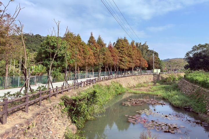 ▲湖口鄉「畚箕窩溪步道」，結合溪岸景觀與生態環境的靜謐路線，步道平緩好走。　圖：新竹縣政府／提供