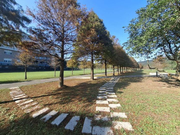 ▲「貢寮環保公園」開闊草地與林蔭交織，營造出悠閒漫遊氛圍。　圖：新北市政府觀光旅遊局／提供