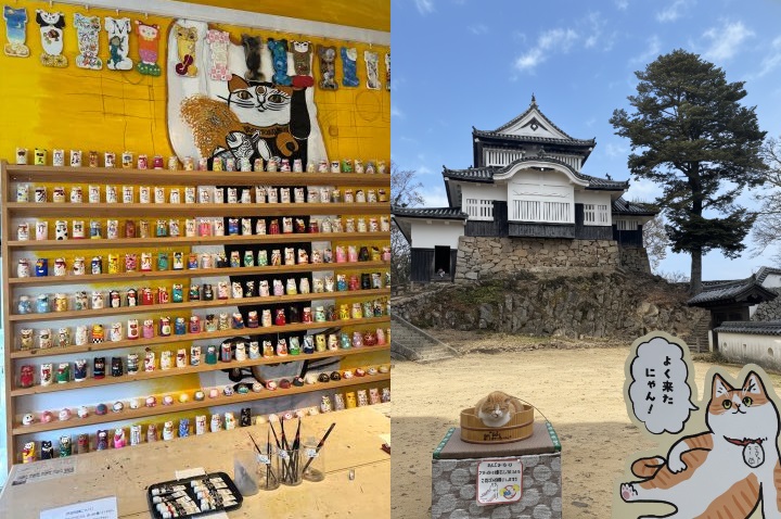 ▲招財貓美術館與備中松山城可愛貓城主「三十郎」。　圖：岡山縣台灣推廣事務所／提供