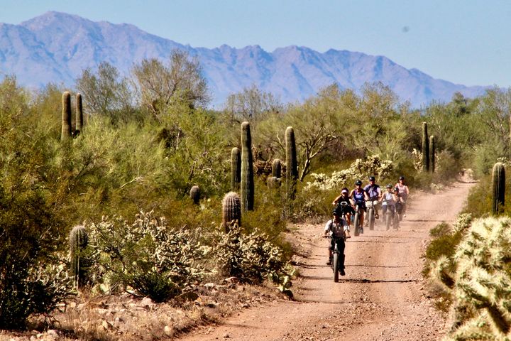 ▲亞利桑那州索諾蘭沙漠（Sonoran Desert）蘊藏豐富大自然寶藏。　圖：亞利桑那旅遊局／來源