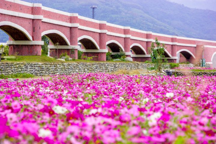 ▲二層坪花海。　圖：花東縱谷國家風景區管理處／提供