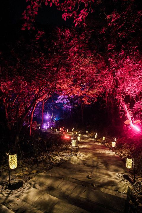 ▲結合自然地景與光影藝術，將大津瀑布與步道打造成夜光森林。　圖：屏東縣政府／提供