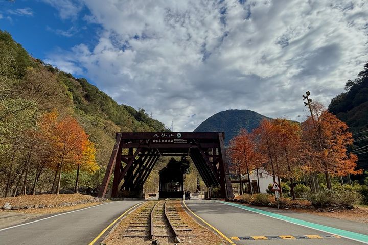 季節更迭讓植物染了新色－八仙山國家森林遊樂區。　圖：林業及自然保育署-台中分署／提供 