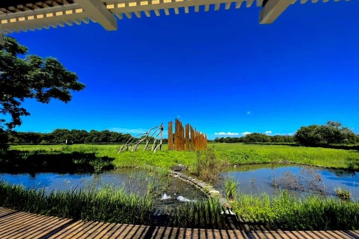 親近融入自然的設計 在森林中享受人文與大地共築之美