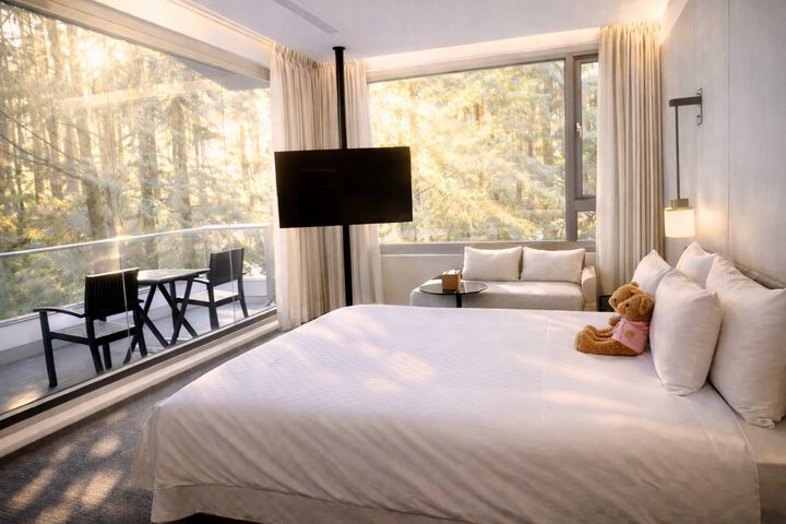 全新頂級客房採自然光灑落的落地窗設計，迎向遼闊無邊的森林、雲霧，彷彿把阿里山直接收入眼底。　圖：阿里山賓館／提供
