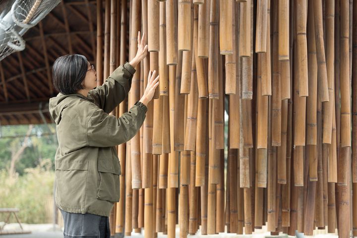 ▲巨型竹風錯落懸掛。　圖：林業及自然保育署／提供