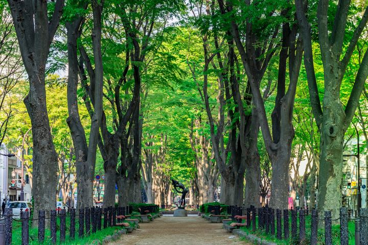 ▲充滿綠意的定禪寺大街超適合健行。　圖：Shutterstock／來源