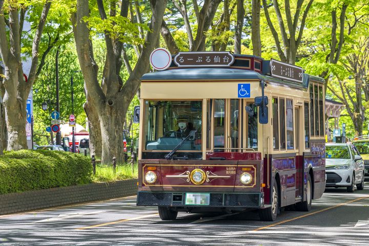 綠意盎然的仙台，可以感受「邊走邊聽、邊吃邊玩」的輕快節奏。　圖：仙台市／提供