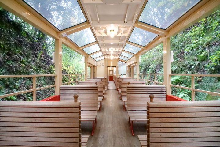 ▲「房總里山小火車」採兩側無車窗的設計，天頂有大片可透視的玻璃窗，能一覽所有大自然美景。　圖：千葉縣 PR PROJECT／提供