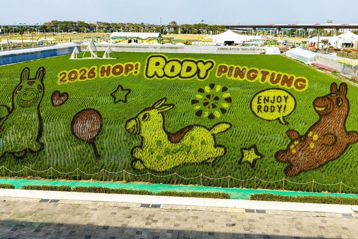 RODY 彩繪稻田為園區注入活潑鮮明的視覺語言與躍動氛圍。　圖：屏東縣政府農業處／提供 
