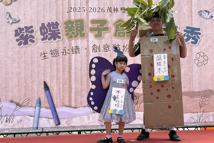 ▲爸爸是食草（盤龍木），提供源源不絕的食物給孩子成長（小紫斑蝶），守護著他們的一生。　圖：茂林國家風景區管理處／提供