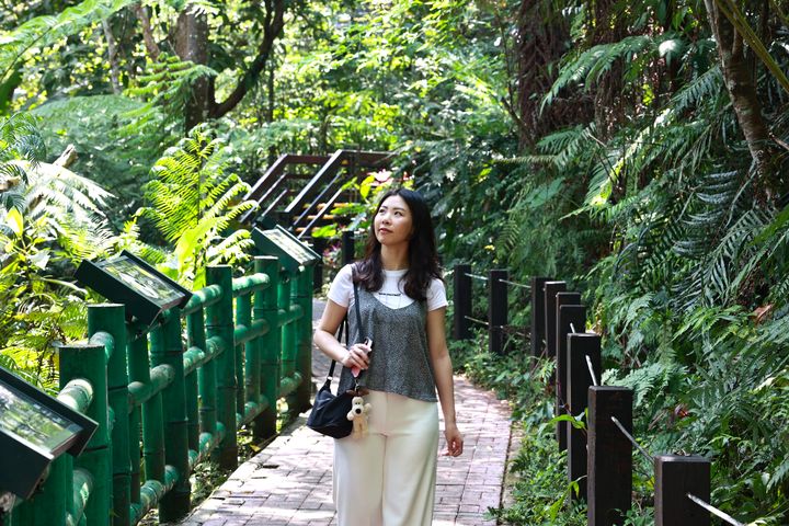 ▲土城太極嶺與桐花公園周邊步道綠意環繞，適合春節期間闔家健行。　圖：新北市政府觀光旅遊局／提供