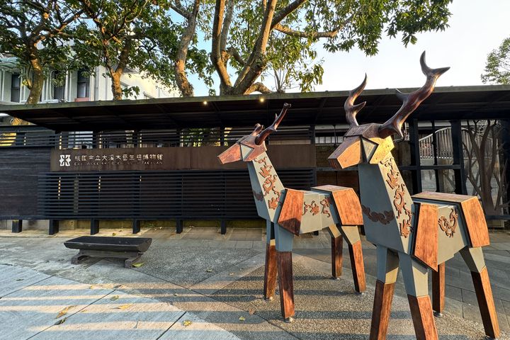 大溪木博館。　圖：桃園市政府觀光旅遊局／提供