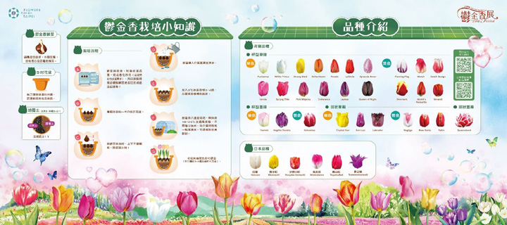 ▲鬱金香品種介紹。　圖：臺北市政府工務局公園路燈工程管理處／提供