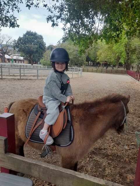 ▲后里馬場馬匹騎乘體驗。　圖：台中市政府觀光旅遊局／提供