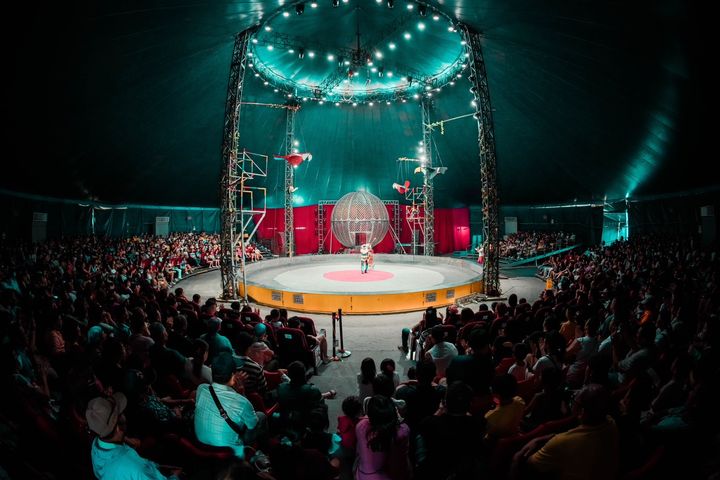 后里馬場全新主題的馬戲團表演「天馬夢幻大馬戲」。　圖：台中市政府觀光旅遊局／提供