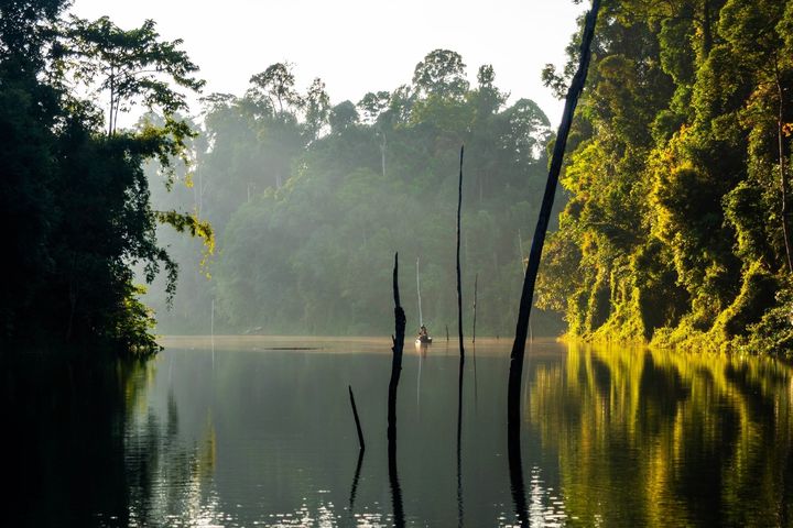 ▲柏隆皇家州立公園是世界最古老的熱帶雨林之一。　圖：馬來西亞觀光局／來源