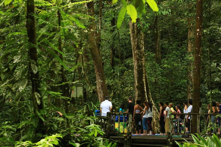 馬來西亞熱帶雨林步道平坦，是適合闔家大小親近自然、療癒充電的避寒好選擇。　圖：Mulu Marriott Resort & Spa／來源