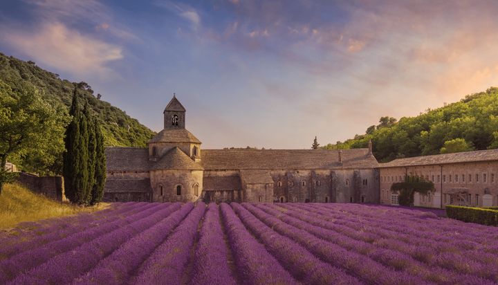 ▲宛如走進電影中的南法薰衣草花田景致。　圖：太平洋旅行社／提供