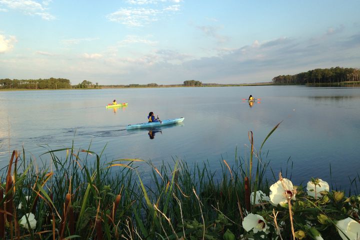 ▲寧靜濕地水域划獨木舟，沉浸美國東南部自然生態體驗。　圖：美國國家旅遊局／提供