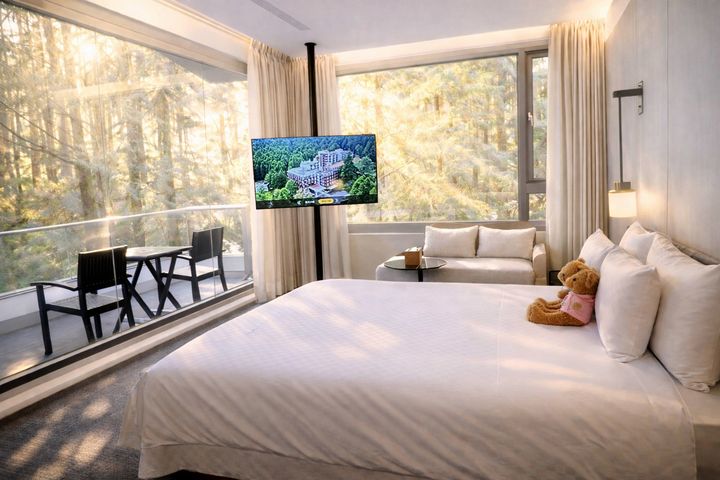 全新打造「雲端之森」客房以森林、晨曦為靈感，檜木林相與山嵐晨光成為房內最動人的景致。　圖：阿里山賓館／提供 