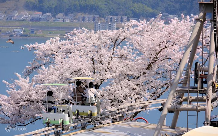 ▲位在宮津市的天橋立一日遊為賞櫻熱門行程。　圖：Klook／提供