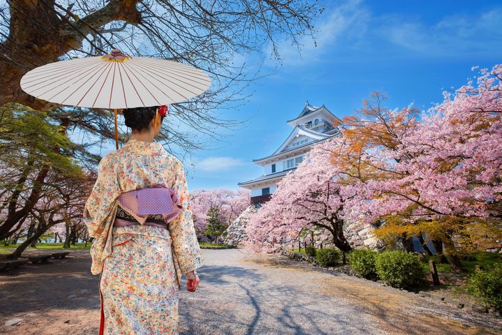▲到日本賞櫻，是台灣遊客春季熱門之選。　圖：shutterstock／來源