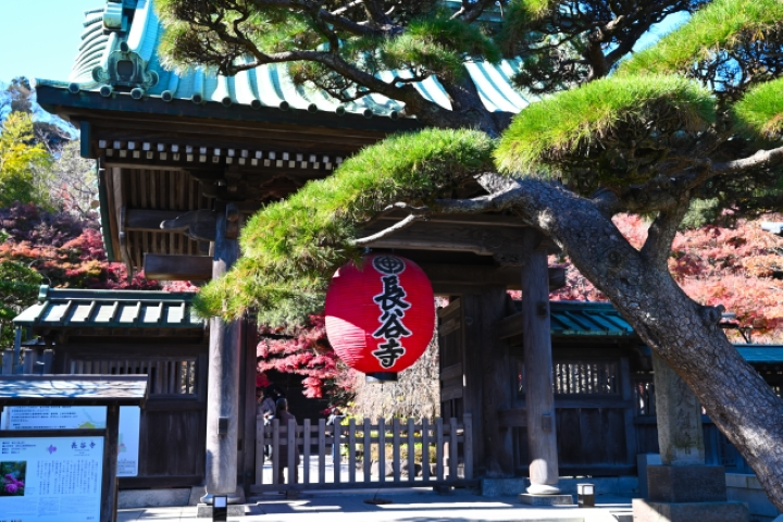  ▲鎌倉長谷寺，日本遊客更偏向拍攝寺廟建築的畫面。　圖：PHOTO AC／來源