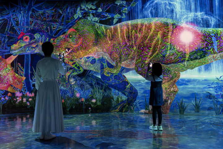  ▲在沉浸式數位森林中，巨型恐龍於牆面與地面之間游移，觀眾透過手機互動「捕捉」恐龍，展開專屬的 AR 蒐集體驗。　圖：teamlab／提供