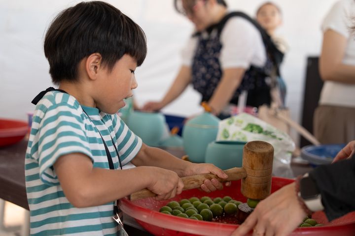 ▲春季走進新北各大博物館，不僅能欣賞精彩展覽，也可參加手作體驗課程，感受文化與創意的魅力。　圖：新北市政府觀光旅遊局／提供