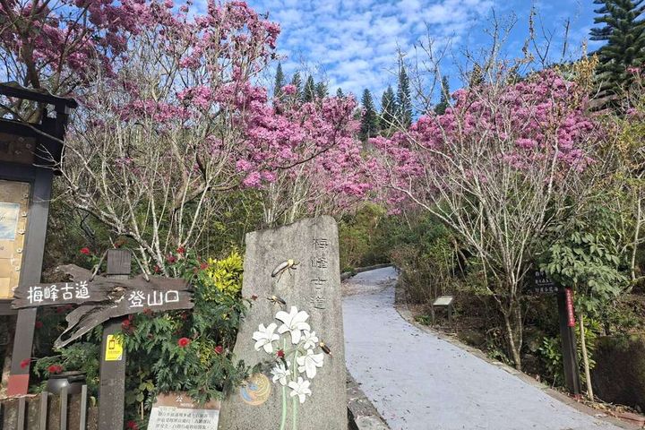 梅峰古道（提供：許鴻文）。　圖：臺南市政府觀光旅遊局／提供 