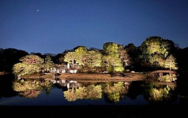  ▲六義園回遊式庭園夜間點燈，中之島與池畔景觀在燈光與水面倒影中展現江戶庭園的靜謐之美。　圖：東京都公園協会／提供