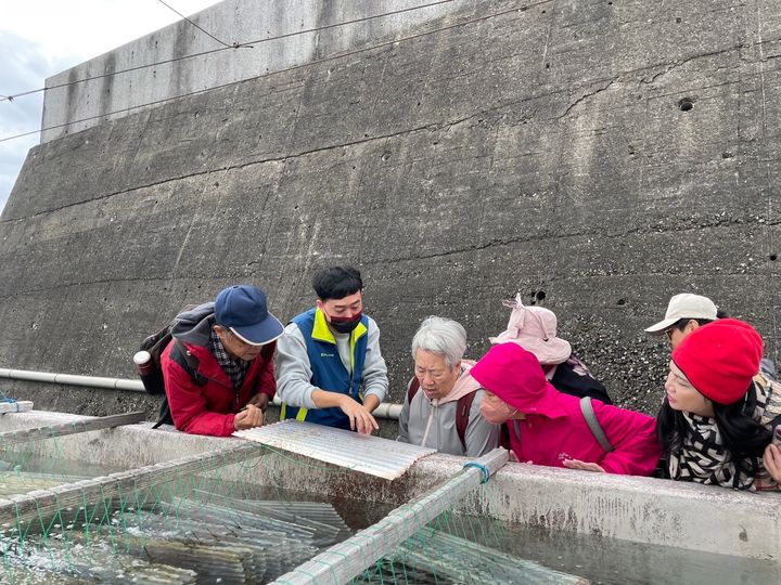 ▲在貢寮海洋復育園區可近距離觀察超萌「九孔寶寶」。　圖：新北市政府漁業及漁港事業管理處／提供