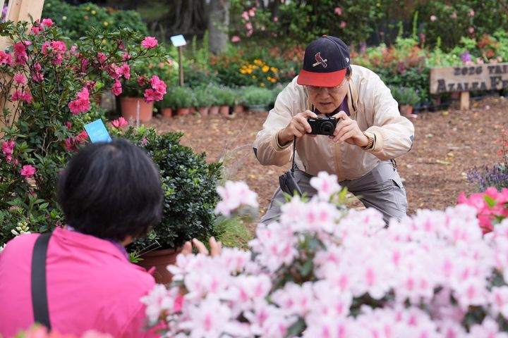 ▲《拾花號 A’rk》內外的杜鵑及季節花卉是參觀民眾最喜歡的拍照打卡景點。　圖：臺北市政府工務局／提供