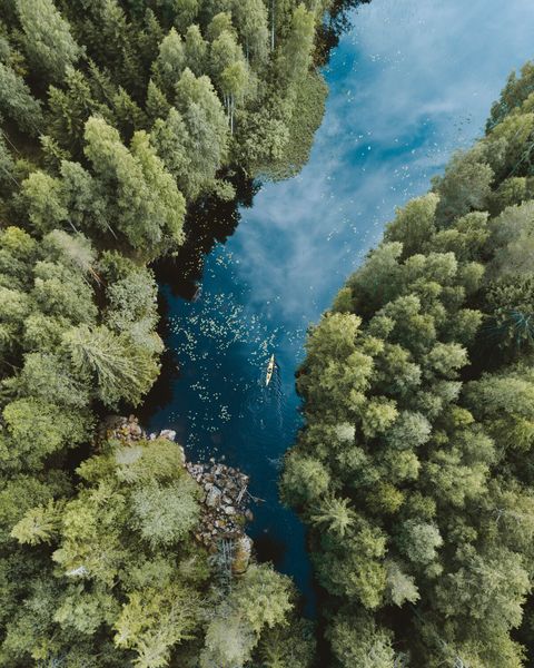 ▲划獨木舟造訪芬蘭最大的賽馬湖（Lake Saimaa）。　圖：Visit Finland／提供