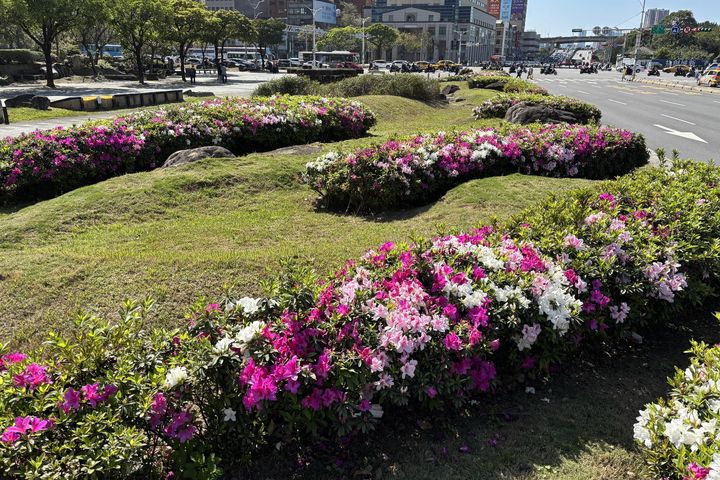 ▲北門廣場盛花花景（攝於03/16）。　圖：臺北市政府工務局／提供